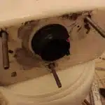 Flush Valve in Downstairs Bathroom Needs Replacement in Broomfield
