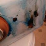 Replacing Toilet in Boulder