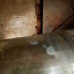 Leak in Basement Closet from Tub/Shower Above in Edgewater