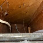 New Ice Maker Box in the Kitchen in Arvada