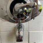 New T&S Valve and Shower Drain Repair in Arvada