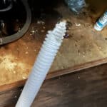 Mouse Ate Through the Dishwasher Drain Hose and Maybe Another Pipe in Denver