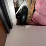 New T&S Valve and Shower Drain Repair in Arvada