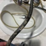 Leak in Water Supply to Shower Valve Behind Wall in Arvada