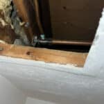 Leaks that Have Caused Damage to Unit. in Golden