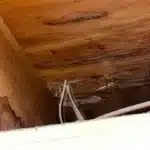 Leak from 2nd Floor Bath into Office Room Below in Arvada