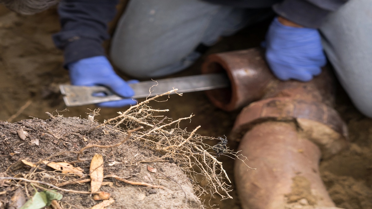 Person repairing outdoor pipe with roots exposed.